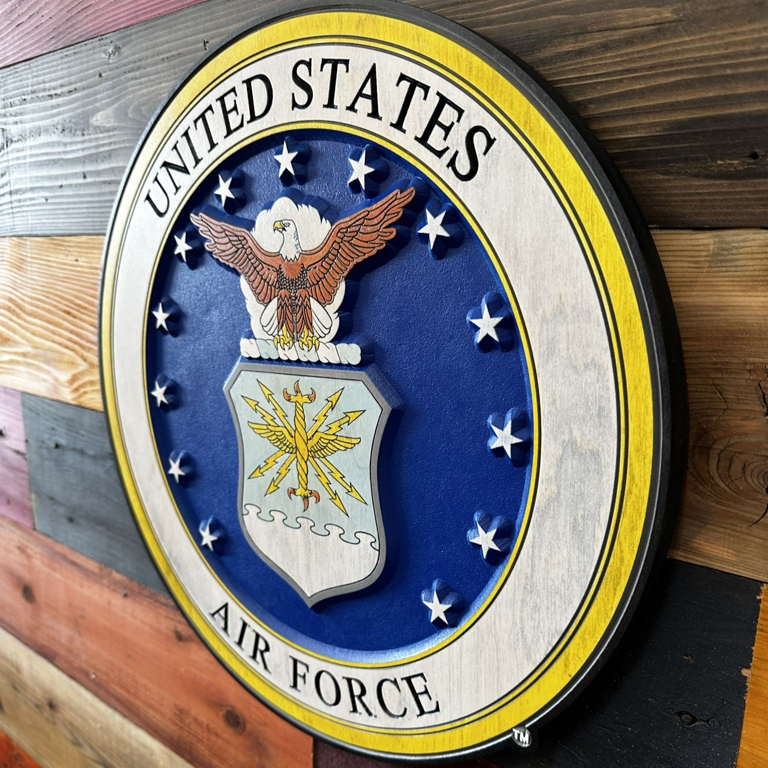 United States Air Force emblem wood sign displayed on wall